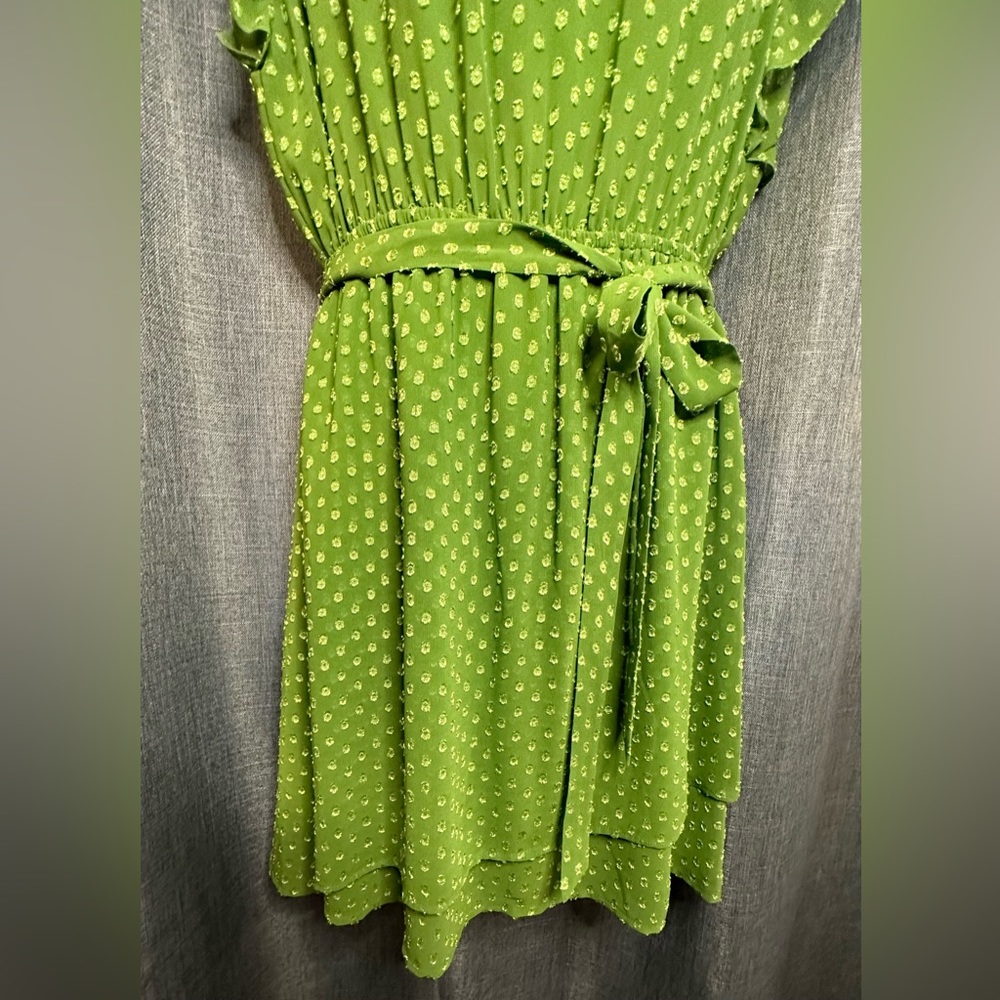DR2 NWT S Green Swiss Dot A-Line Belted Dress‎ - Picture 6 of 6